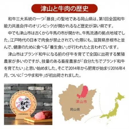 【岡山県産黒毛和牛】つやま和牛切り落とし600g【配送不可地域：離島】【1402232】