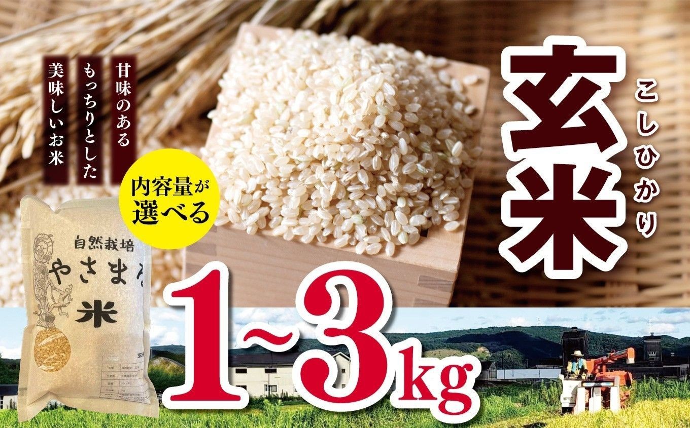 
            令和7年産 コシヒカリ 玄米 1㎏ ～ 3kg （1kg袋 or 3kg袋） |  やさまる 小分け 少量 1kg 2kg 3kg 米 こめ お米 おこめ げんまい こしひかり 千葉県 君津市 きみつ
          