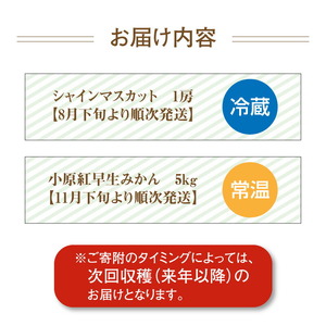 三豊市フルーツ2回お届け定期便 F
