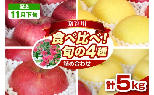 【2026年11月下旬発送】りんご 青森 食べ比べ 4品種<ふじ サンふじ 王林 金星> 5kg 程度 贈答用 青森 農家直送  サンフジ 青森県 五所川原市 贈答 セット 詰め合わせ 林檎 リンゴ apple