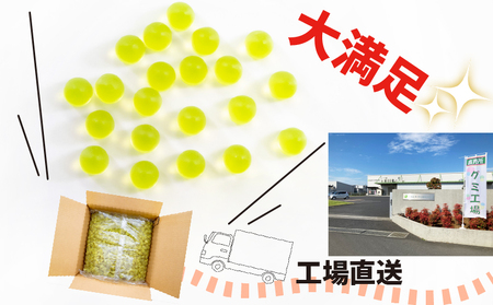 【グミ】訳あり グミ レモン味 6kg 約4000粒 埼玉県 羽生市