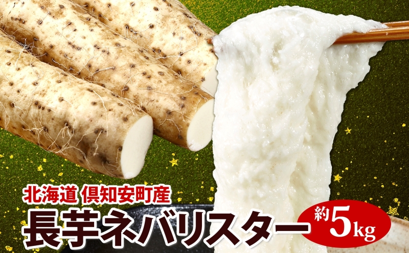 【 2026年 出荷 】 北海道 倶知安町産 ネバリスター 計5kg 北海道産 芋 ながいも 長芋 とろろ 新鮮 フレッシュ 野菜 農作物 産直 山芋 大和芋 イチョウ芋 麦とろ 山かけ おつまみ グリーンアースファーム