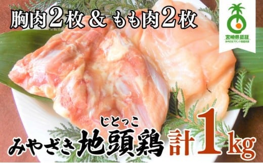 U-A3 ＜認定農家直送＞のびのびと育てたみやざき地頭鶏の生肉セット(合計1kg・モモ肉300g×2P、ムネ肉200g×2P)炭焼やソテー、鶏すき焼きに【権代ファーム】