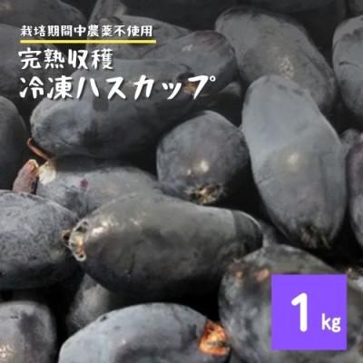 ふるさと納税 遠野市 冷凍 ハスカップ 1kg 完熟収穫 栽培期間中 農薬不使用 農家 直送 遠野もぐもぐカントリー