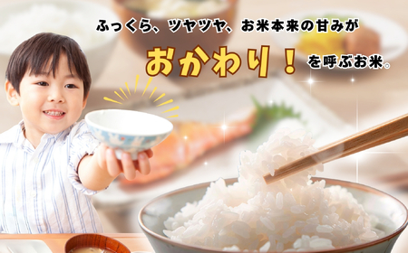 【令和７年産 新米】牛宿農園 虹のきらめき 精米 10㎏ (7-79) お米 コメ 白米 ご飯 長野県 信州 飯山市 新米 令和7年 にじのきらめき 産地直送 農家直送