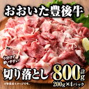 【ふるさと納税】おおいた豊後牛 切り落とし (計800g・200g×4P) 国産 牛肉 肉 和牛 ブランド牛 小分け 大分県産 大分県 佐伯市 【FW011】【 (株)ミートクレスト】