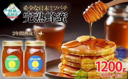 【先行予約】 2年間熟成！ 希少な日本ミツバチ完熟蜂蜜 600g×2個 セット 【 数量限定 はちみつ ハチミツ 岩手県 陸前高田市 】 2026年7月頃から発送予定 RT1534