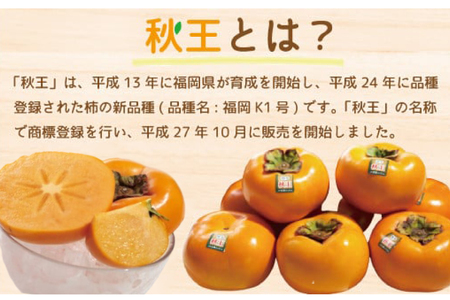 柿 秋王 8-12玉 約 3kg 柿