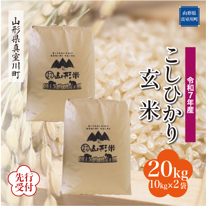 ＜令和7年産米先行受付＞ 真室川町産 こしひかり 【玄米】 20kg （10kg×2袋） 配送時期指定できます！