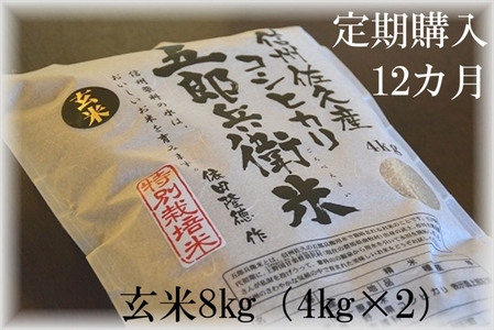 【令和7年産・玄米8kg×12カ月定期便】 特別栽培米 五郎兵衛米〈2025年9月中旬頃～順次発送〉 先行予約 新米 信州こしひかり コシヒカリ こしひかり 長野県 佐久市