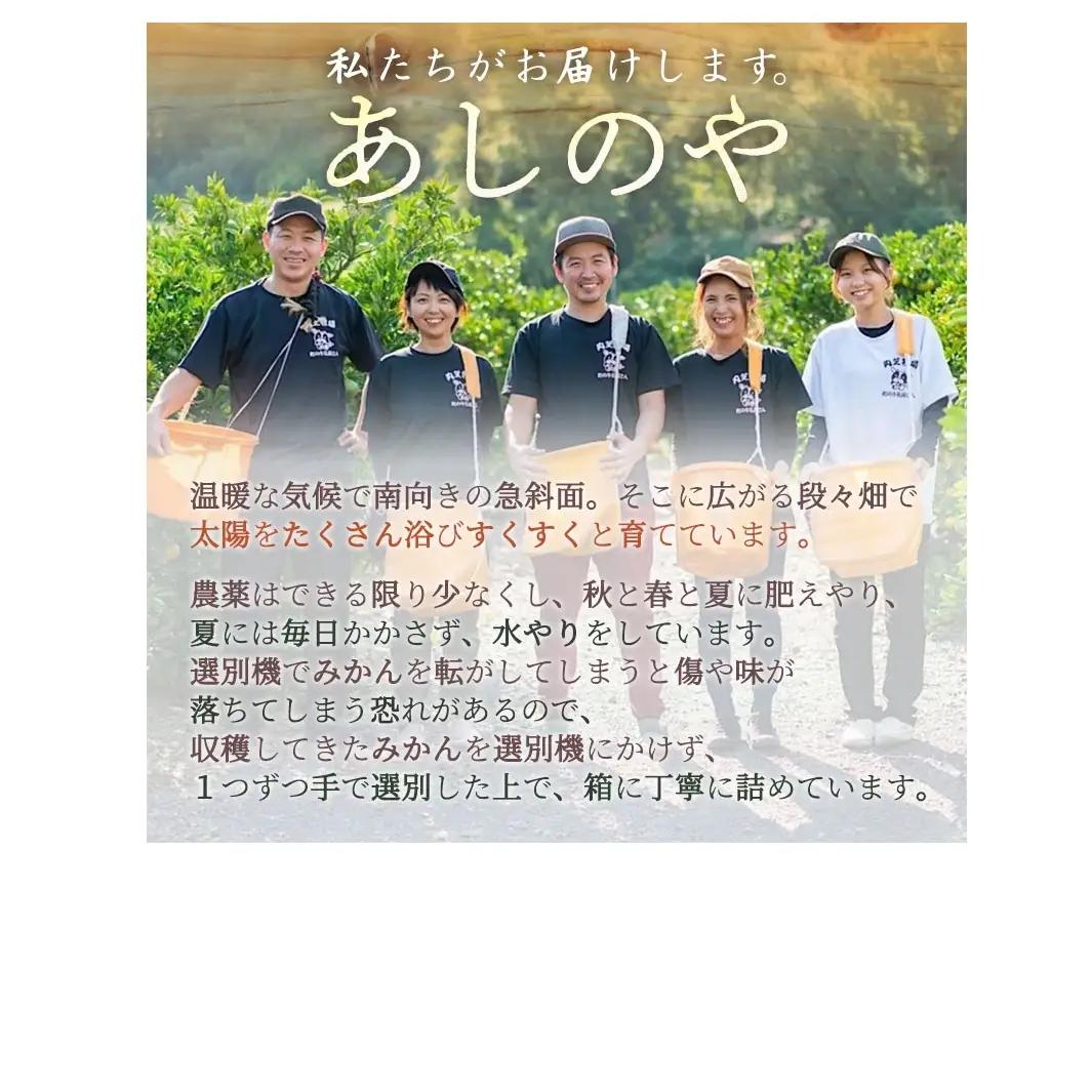 ZE6493_【2026年先行予約】和歌山 湯浅町産 田村みかん 約10kg【２Sサイズ】
