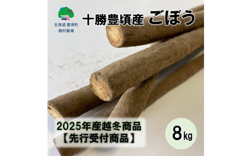十勝豊頃産ごぼう8.0kg 【2026年春出荷】（先行受付）【植村農場】