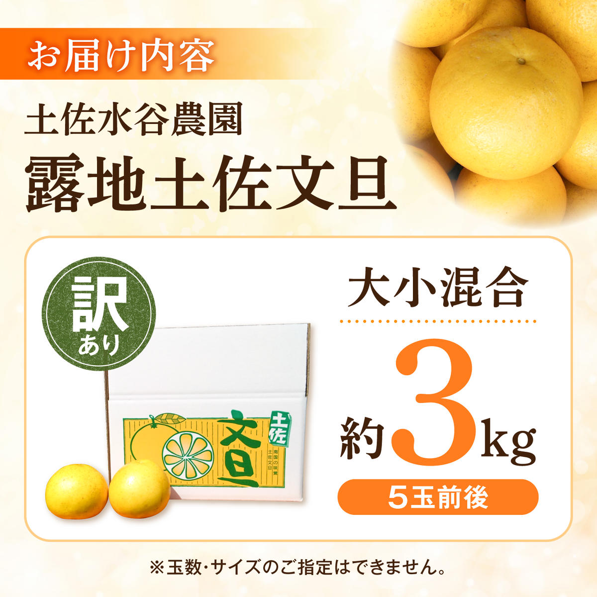 【先行予約】土佐水谷農園の露地土佐文旦 家庭用約3キロ 3kg 大小混合〈2027年1月20日～発送〉フルーツ 柑橘 みかん 果物 くだもの 柑橘類 デザート おやつ 訳あり わけあり【土佐水谷農園】