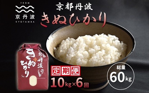 【6カ月定期便】 京丹波きぬひかり 10kg×6カ月連続 合計60kg 令和8年産 京都 米 精米 キヌヒカリ ※北海道・沖縄は配送不可 [108MB002R]