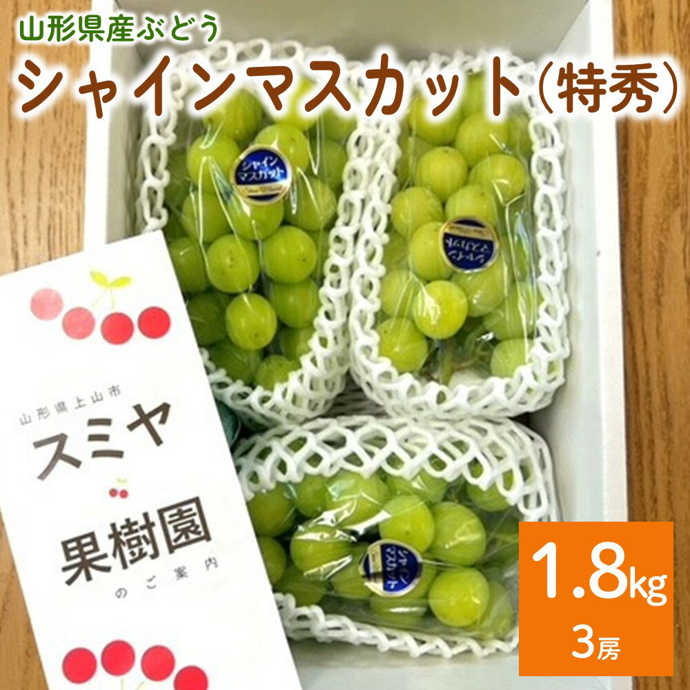 【ふるさと納税】シャインマスカット 3房 合計 1.8kg 特秀品 ・ 化粧箱入り 果物 フルーツ 種なし ぶどう お取り寄せ 産地直送 送料無料 山形県 上山市 0047-2611