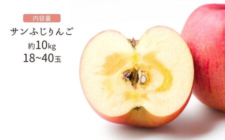【2026年先行予約】訳あり りんご サンふじ 約10kg (18~40玉)  |りんご