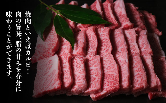 博多和牛 牛肉 焼き肉 バラ （カルビ） 500g ＜肉のくまもと屋＞ 那珂川市 [GBI012]