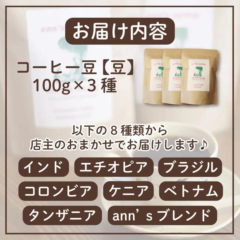 コーヒー豆 【店主おまかせ】 ann's cafe 100g×3種 コーヒー豆