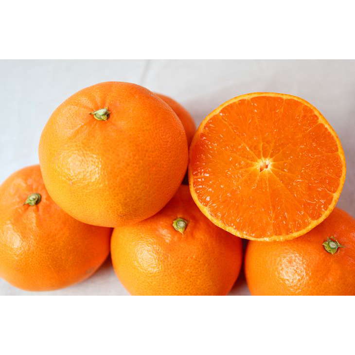 とろける食感!ジューシー柑橘 せとか 約3kg ※2026年2月下旬～3月下旬頃に順次発送予定