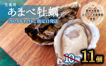 先行予約 あまべ牡蠣 11個 牡蠣 シングルシード 生食用 殻付き かき カキ オイスター 生ガキ 生牡蠣 生がき 生かき ギフト 貝 旨味 【2024年12月発送】