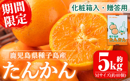 n204 【期間限定】＜先行予約受付中！2026年2月中旬～3月上旬の間に順次発送予定＞鹿児島県種子島産 たんかんMサイズ(5kg・約40個入り)【種子屋久農業協同組合】