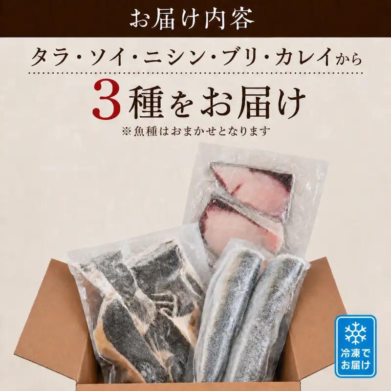 鮮魚 3種セット 約2~4人前 鮮魚詰め合わせ 【AO006】