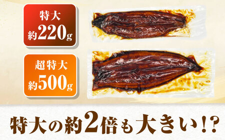 【新登場】【1尾約500g】超特大うなぎ蒲焼×3尾　広川町 / 株式会社イールファクトリー[AFBS033]