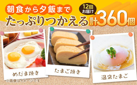 【定期便】お茶と海藻で健康育ち 元気卵 360個（30個×12回） 亀山市/藪本養鶏園 タマゴ 玉子 送料無料[AMBH004]