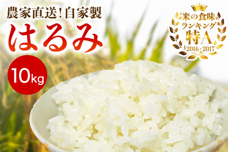 新米 [令和7年産] 伊勢原産 精米10kg(5kg×2袋) はるみ 農家直送！加藤さんちのうんめぇ！自家製米｜先行予約 お米 おこめ コメ 白米 神奈川 伊勢原 ブランド米 [0524]
