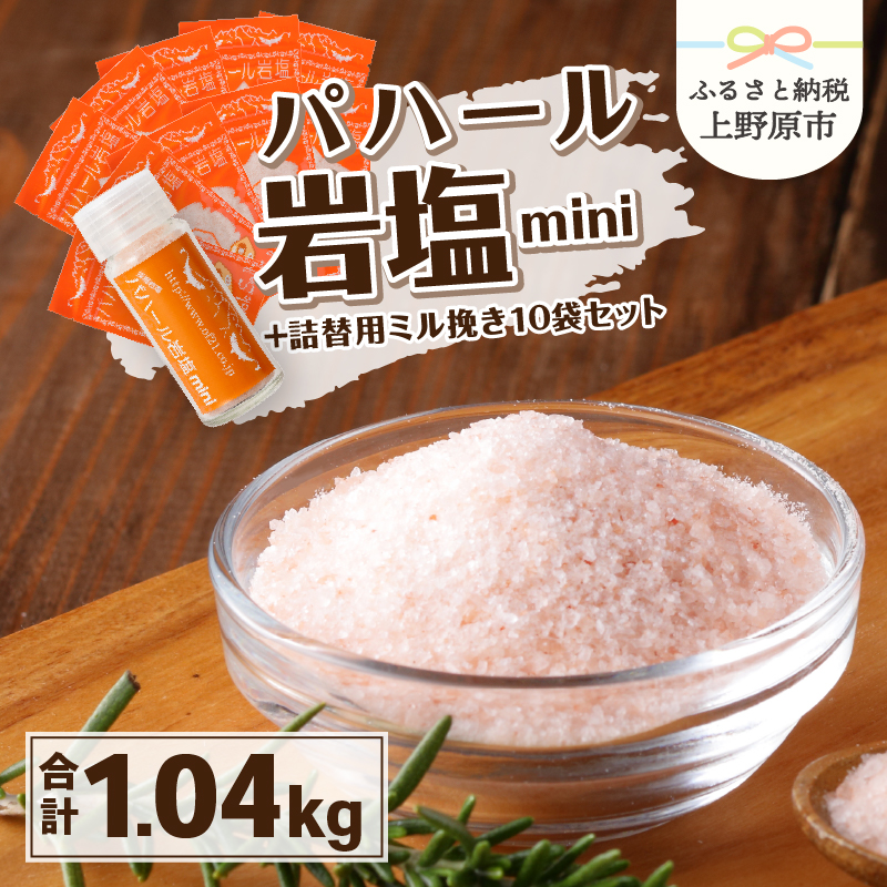 【ふるさと納税】 岩塩 塩 パハール岩塩 mini 天然 無添加 旨み 詰替用 ミル挽粉末 100ｇ 10袋 贈り物 ギフト プレゼント 送料無料 山梨県 上野原市