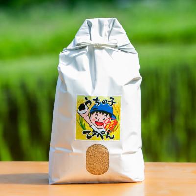 ふるさと納税 能勢町 【栽培期間中農薬・化学肥料不使用】能勢町産 ブランド米「うちの子てっぺん」　玄米　5kg |  | 01