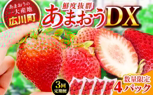【3回定期便】博多あまおう 2ケース（270g×4P）　広川町 / JAふくおか八女農産物直売所どろや [AFAB081]
