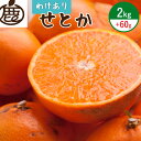 【ふるさと納税】【限定】 ＜2月より発送＞家庭用 せとか2kg+60g（傷み補償分）【柑橘・春みかんの王様】【わけあり・訳あり】【光センサー選別】