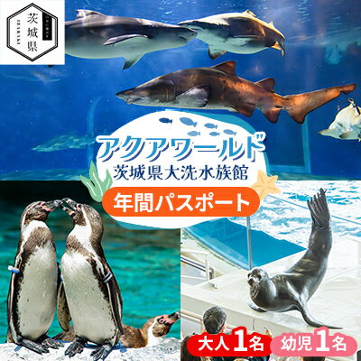 【ふるさと納税】アクアワールド茨城県大洗水族館　年間パスポート(大人1名・幼児1名分)【配送不可地域：離島・沖縄県】【1510279】