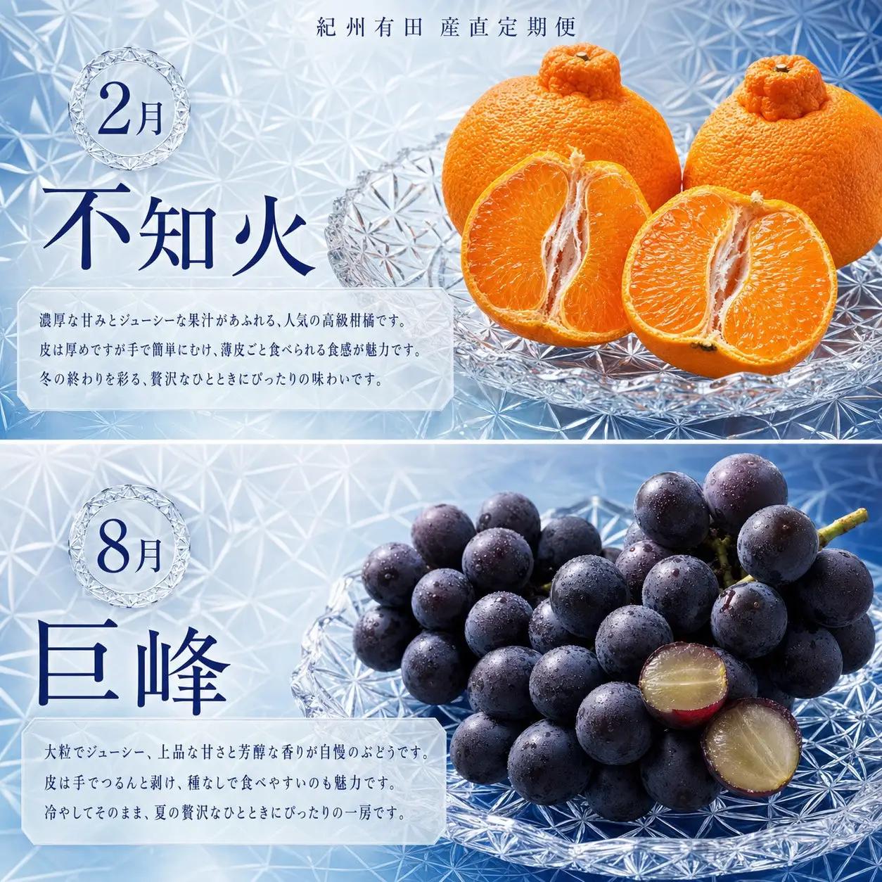 【2・8・9・12月 全4回】紀州産 巨峰とフルーツ定期便（巨峰・梨・みかん・不知火） 【魚鶴】