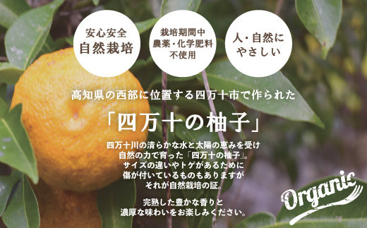 【 早期受付 期間限定 】 栽培期間中農薬・化学肥料不使用！ 四万十 の 柚子 約1.5～2kg（8～15個） 国産 自然栽培 オーガニック 高知 しまんと 旬 ゆず ユズ フルーツ 果物 柑橘 新鮮
