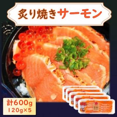 ふるさと納税 長浜市 炙り焼きサーモン　120g×5パック
