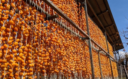 紅干し柿　１７０ｇ×４パック　0033-2510