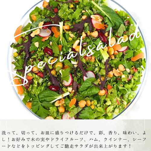 画像はイメージです。