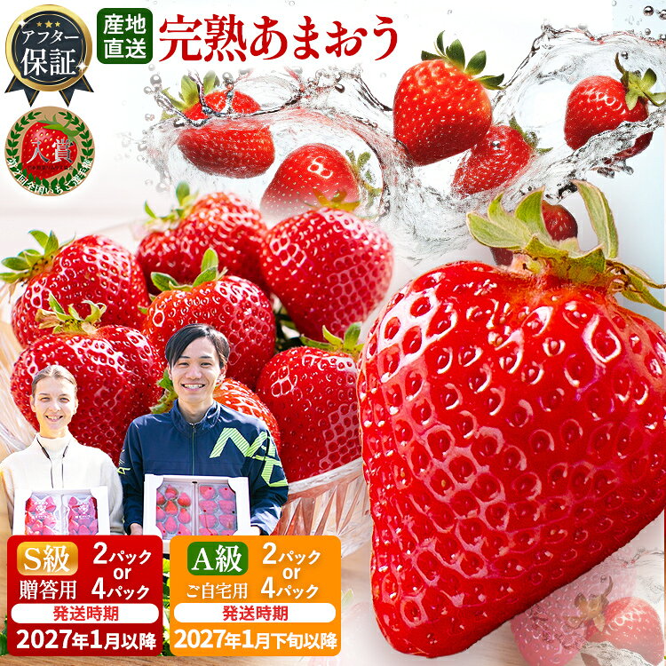 【ふるさと納税】アフター保証 あまおう 6～9粒入り×4パック ／ 6～9粒入り×2パック／ 約550g ／ 約1,100g 【先行受付／2027年1月or1月下旬以降順次発送予定】いちご 大粒 不揃い 選べる DX デラックス エクセレント 苺 イチゴ 福岡高級 フルーツ 土産 福岡県