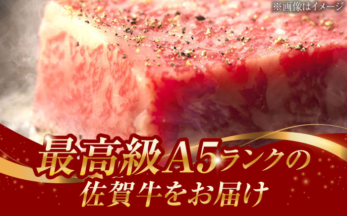 A5ランク 佐賀牛 厚切り サーロインステーキ 380g (190g×2枚) /焼肉どすこい[UCC015] 牛肉 肉 ステーキ ロース