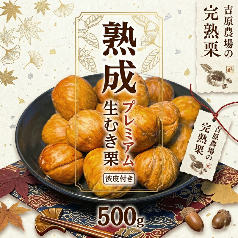 【ふるさと納税】 先行受付 熟成 プレミアム 生むき栗 ( 渋皮付き ) 1袋 500g 熟成栗 料理 栗料理 栗おかし 栗鹿ノ子 和菓子 わがし お茶 お茶菓子 おかし お菓子 果物 フルーツ 数量限定 旬 秋 冬 正月 おせち 栗の深雫 しずく くりのしずく 吉原農場 茨城県 筑西市 関東