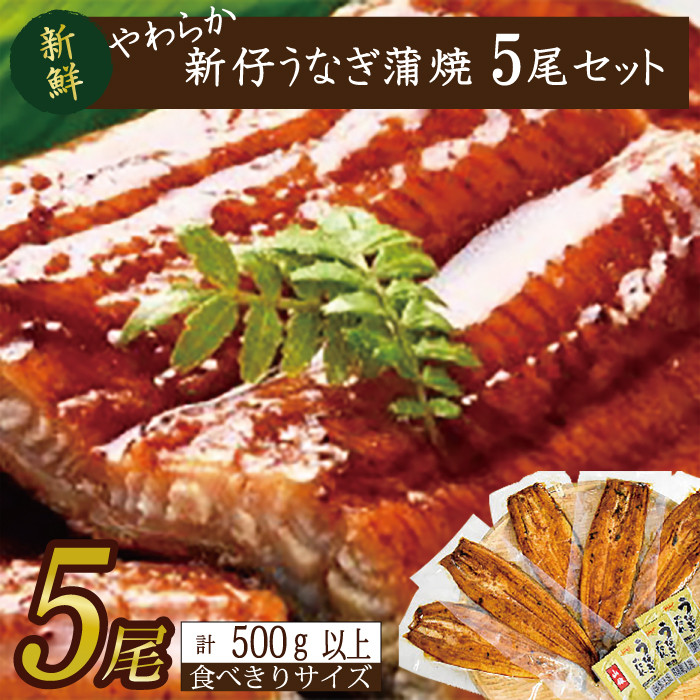 
やわらか新仔うなぎ食べ切りサイズ100～120g　5尾　計500ｇ以上(AD-103-1)
