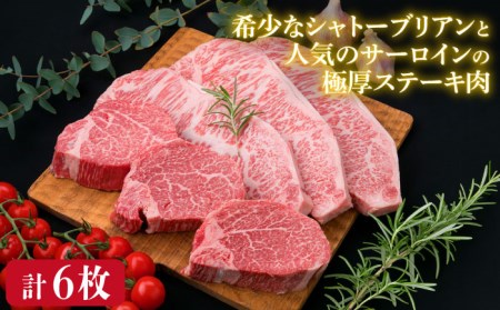 【全6回定期便】【極厚ステーキ】シャトーブリアン 約180g×3枚 サーロインステーキ 約250g×3枚 合計6枚 博多和牛 A4ランク 和牛 ヒレ 糸島市/糸島ミートデリ工房[ACA182]