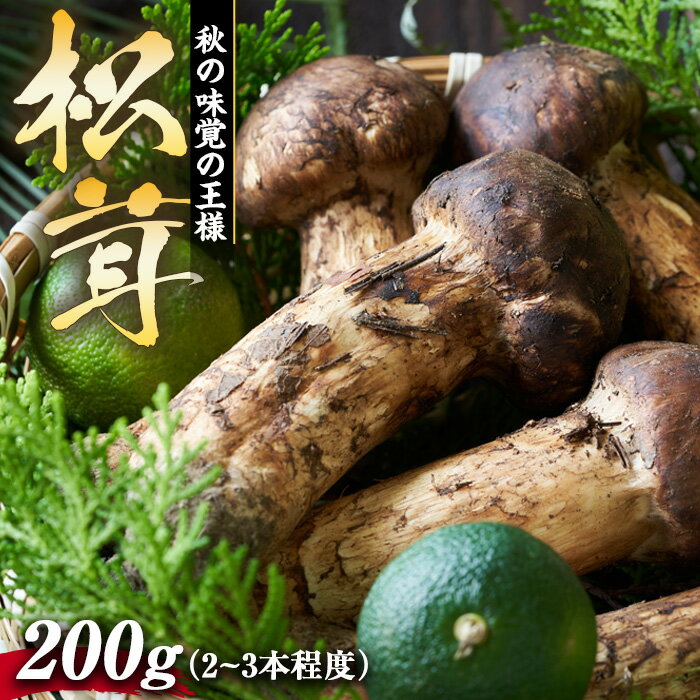 【ふるさと納税】松茸 200g 2～3本程度 箕輪町産 秋の味覚 まつたけ マツタケ きのこ キノコ 旬の野菜 信州 長野 長野県 　お届け：2025年9月中旬～11月中旬頃