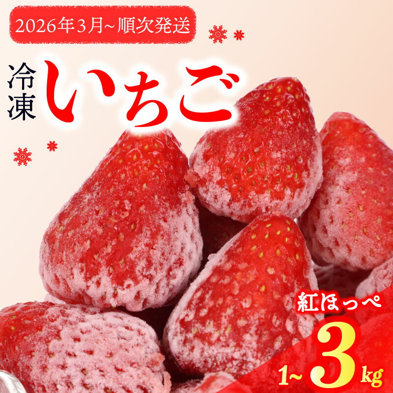 【ふるさと納税】 冷凍いちご 1〜3kg 完熟 紅ほっぺ 選べる ヘタ取り 静岡 限定 苺 果物 スイーツ デザート フルーツ アイス ジャム シャーベット ベリー 氷菓 冷凍フルーツ 甘い おすすめ ギフト 人気 森木農園 産地直送 旬 季節 牧之原市 静岡県