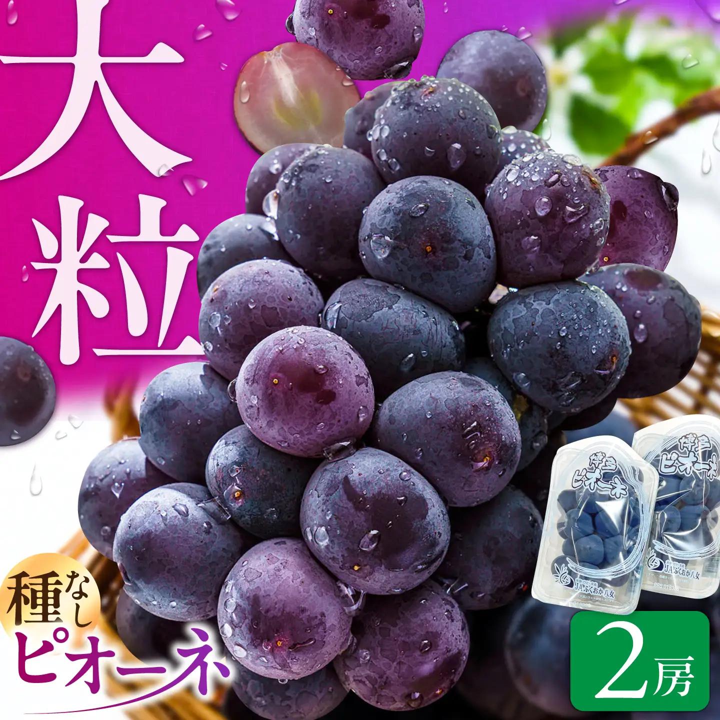 ピオーネ 2パック（約700g） 広川町 / JAふくおか八女農産物直売所どろや[AFAB115]