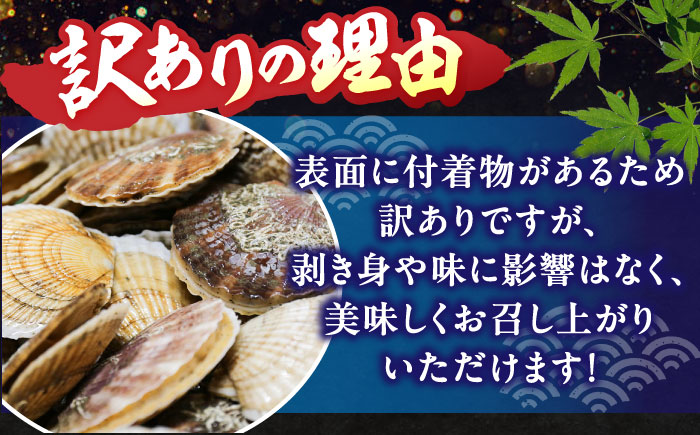 ＜期間限定受付＞【訳あり！】漁港直送！天然貝殻付き活ホタテ2.5kg《厚真町》　【鵡川漁業協同組合】　ホタテ 活ホタテ 帆立 海鮮 冷蔵配送 北海道 [AXAL007]