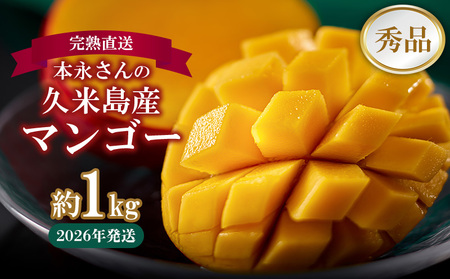 マンゴー【2026年発送】完熟直送！本永さんの久米島マンゴー 約1kg ◆秀品◆フルーツ 果物