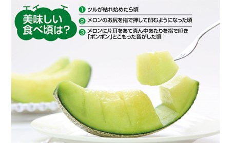 【先行予約 2024年7月発送】庄内砂丘メロン 大玉アンデスメロン（青肉）2玉 4.5kg以上 つる付 化粧箱入 FSY-0337